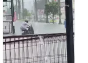 Banjir Dadakan Lumpuhkan Jalan Protokol Padang, Akibat Hujan
