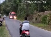 Kebakaran Hebat Landa Lahan di Padang Pariaman, Sulit Dipadamkan Akibat Medan Terjal dan Jaringan Sutet