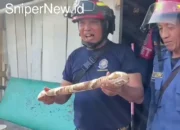 Heboh Panggil Damkar, Ular yang Bikin Panik Ternyata Mainan!
