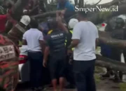 Pokok Tumbang Hempap Kereta di Jalan Ipoh–Lumut, Bayi 10 Bulan Terselamat
