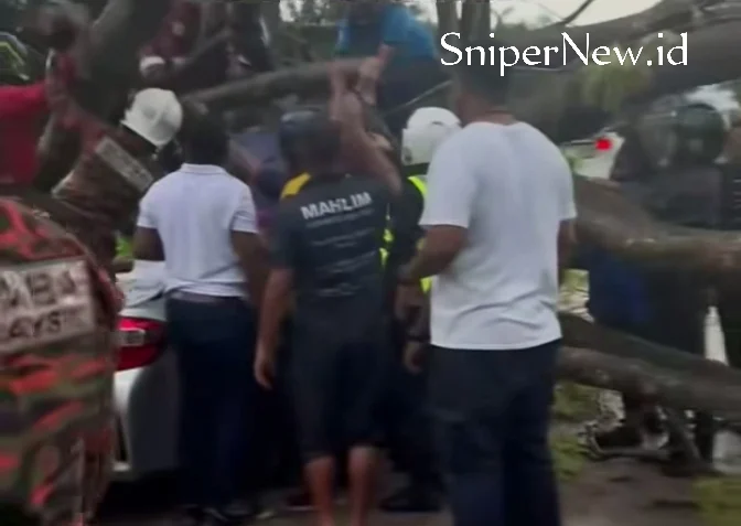 Screenshot_20250820-202548_1