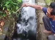Pipa PT Vale Bocor, Sawah Warga Luwu Timur Tercemar: Warga Minta Tanggung Jawab Perusahaan
