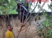Nyangkut di Tembok, Warga Lamtim Heboh Abadikan Momen