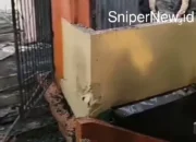 Kebakaran Landa Pasar Payakumbuh Blok Barat, Penyebab Masih Diselidiki