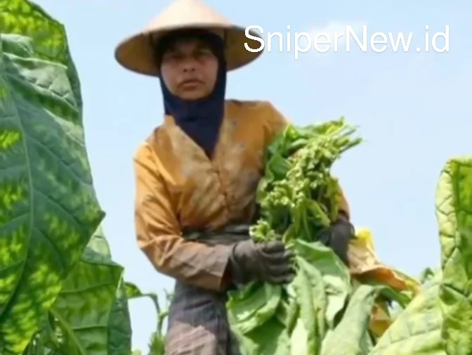 Screenshot_20250906-091745_1