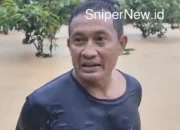 Banjir Bandang Lampung Barat: Hujan Deras Picu Genangan Satu Meter, Warga Suoh Dihantui Trauma