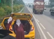 Kue Bolu di Jalan Tol: Balasan Tulus untuk Kebaikan Seorang Sopir Truk