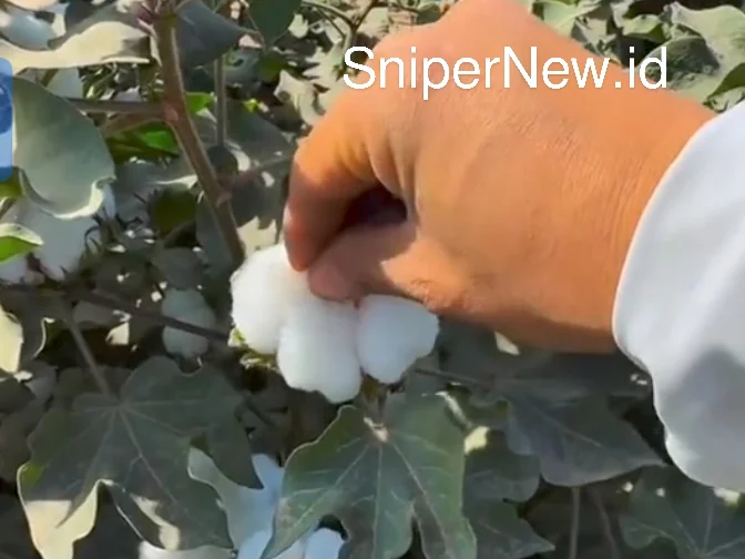 Screenshot_20250917-063552_1