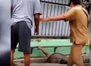 Emosi Warga di Medan Timur: Lurah Terjatuh ke Parit Saat Bongkar Ban 