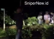 Warga dan Aparat Kompak Angkat Pohon Tumbang di Paninggaran, Akses Jalan Kembali Lancar!