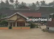 Debit Sungai Naik, Sejumlah Rumah di Cisolok Sukabumi Terendam Banjir