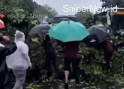 Pohon Tumbang di Jalan Surapati Tutup Akses Menuju Gasibu, Evakuasi Masih Berlangsung