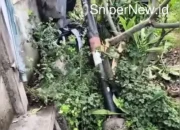 Kecelakaan Tragis di Perbatasan Lamongan-Gresik, Satu Tewas dan Satu Luka