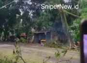 Dahan Pohon Tumbang Saat Pemangkasan di Karangtengah, Warga Cemas Gapura Perumahan Terdampak