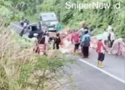 Pikap Bermuatan Ayam Terguling di Tanjakan Simaling, Warga Gotong Royong Evakuasi