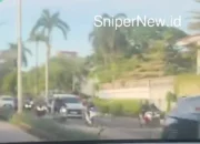 Warga Khawatir Pohon Palem di Pondok Indah Rawan Tumbang, Minta Pemprov DKI Segera Bertindak