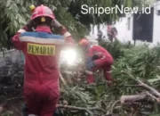 Sigap di Tengah Badai: Petugas Gabungan Evakuasi Pohon Tumbang