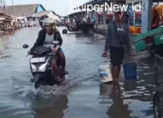 Warga Pesisir Batang Diterpa Banjir Rob, Minta Pemerintah Serius Tangani Dampaknya