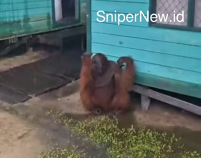 Screenshot_20251107-133347_1