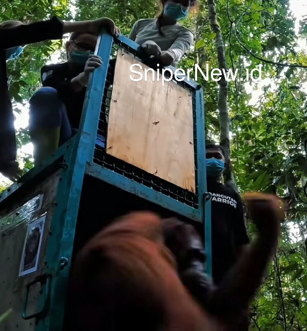 Screenshot_20251116-125338_1