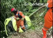 Mobil Nomor H 1583 JV Nyangkut di Bambu, Selamat Meski Terperosok Jurang 15 Meter