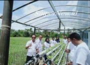 Perubahan! Bapas Pringsewu Dorong Kemandirian Klien Lewat Pelatihan Agribisnis