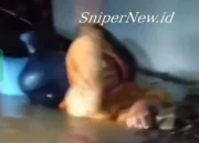 Video Lansia Terjebak Banjir Medan Gegerkan Warga
