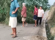 Masyarakat Maniksilau Kompak Bersihkan Jalan Desa dan Lingkungan Kampung