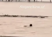 Diseret Arus, Bocah Diselamatkan Warga di Tengah Banjir Pidie