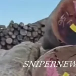 Sorotan Publik atas Dugaan Eksploitasi Hutan Batu Screenshot_20251224-184619_2