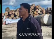 Sorotan Publik atas Dugaan Penebangan Hutan Kepulauan Batu