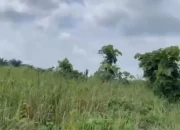 Diduga Sewenang-wenang, Kades Langkinat Humala Pontas Harahap Disorot: Lahan Warga Disebut Diserobot dan Ditanami Sawit Berkedok Perintah Satgas