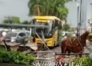 Kuda Andong Malioboro Tumbang, Publik Soroti Kesejahteraan Hewan