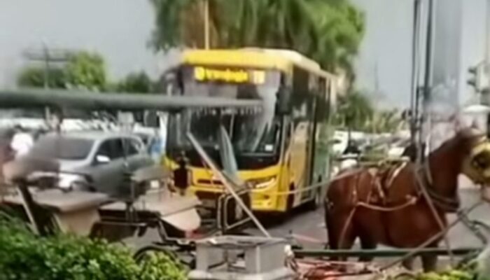 Kuda Andong Malioboro Tumbang, Publik Soroti Kesejahteraan Hewan
