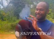 Mambruk Papua, Merpati Terbesar Dunia yang Kian Terancam