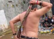 Debus Bukan Superman: Duri Menyakitkan, Imannya yang Kebal