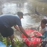 Screenshot_20260123-004749_1