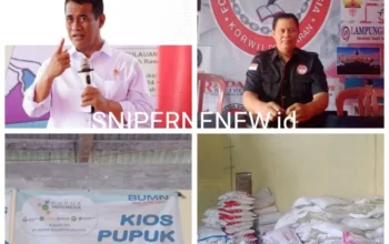 Investasi Hijau Lampung Meningkat, Minat Investor Nasional Menguat