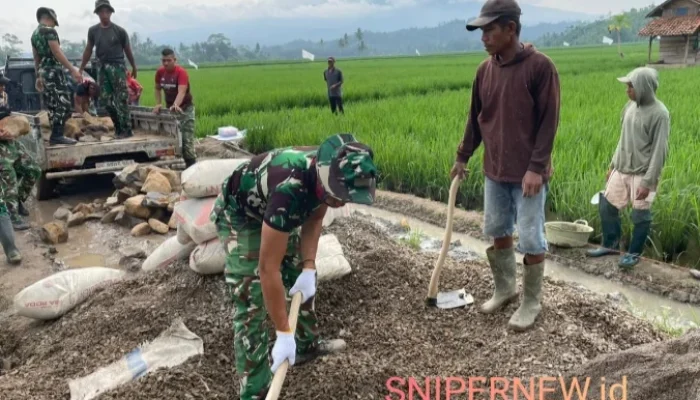 TMMD ke-127 Pesawaran: Jalan, Talud, dan RTLH Dikebut