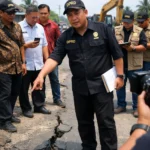 file_00000000178c71fab58a52f7273e8efb