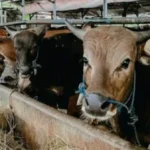 IMG-20260318-WA0588_copy_1280x674