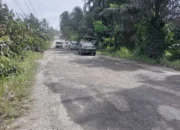 Jalan Rusak Pringsewu Dikeluhkan Warga, Harap Perbaikan Segera