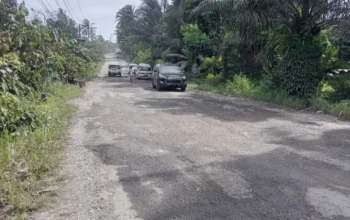 Jalan Rusak Pringsewu Dikeluhkan Warga, Harap Perbaikan Segera