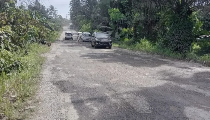 Jalan Rusak Pringsewu Dikeluhkan Warga, Harap Perbaikan Segera