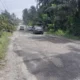 Jalan Rusak Pringsewu Dikeluhkan Warga, Harap Perbaikan Segera